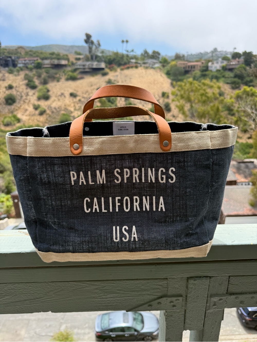 Apolis Petite Market Palm Springs USA Canvas Tote Bag Leather Handles